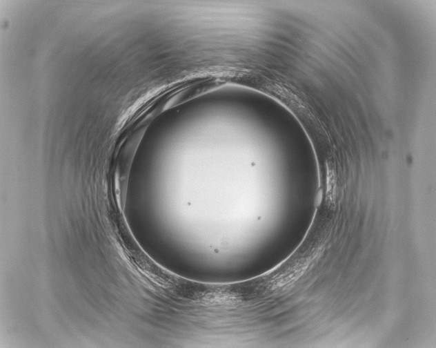 X0000059100348200510101224