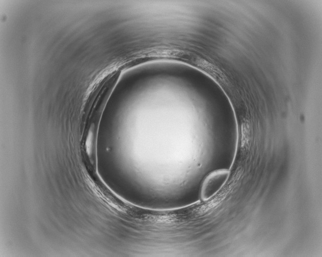 X0000059100349200510101224