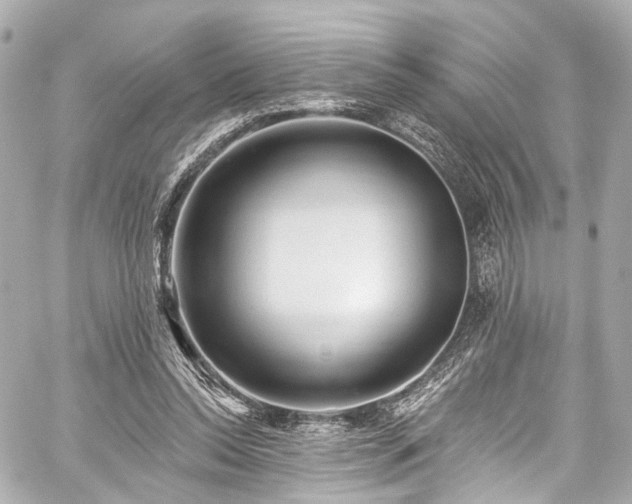 X0000059100350200510101224