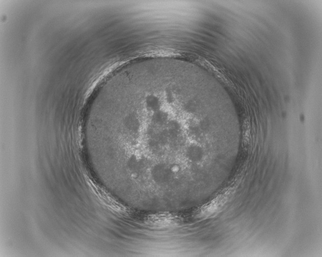 X0000059100351200510101224