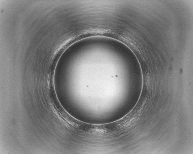 X0000059100352200510101224