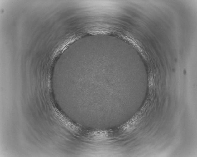 X0000059100353200510101224