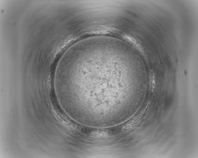 X0000059100354200510101224