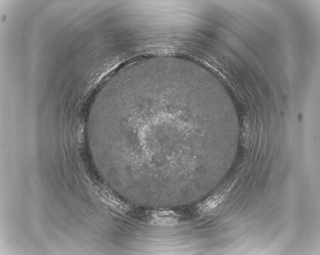 X0000059100355200510101224