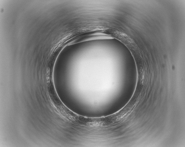 X0000059100356200510101224