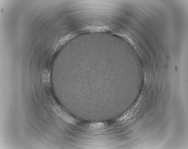 X0000059100357200510101224