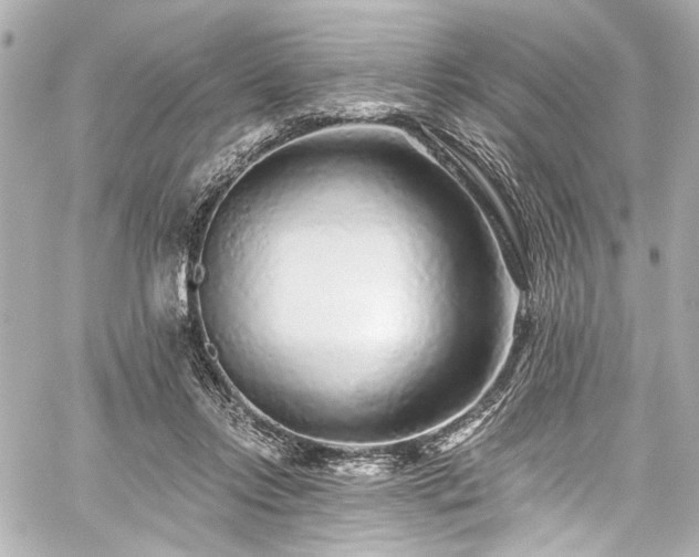 X0000059100358200510101224