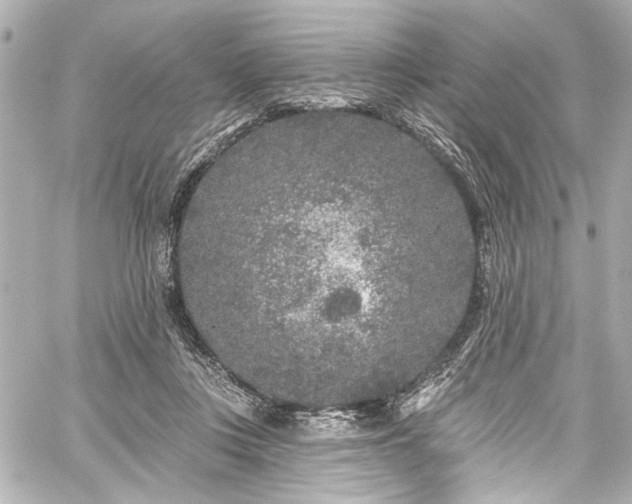 X0000059100359200510101224