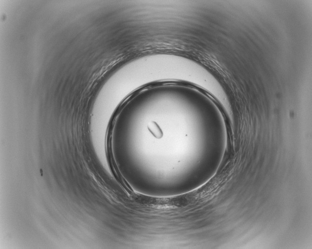 X0000059100360200510101224