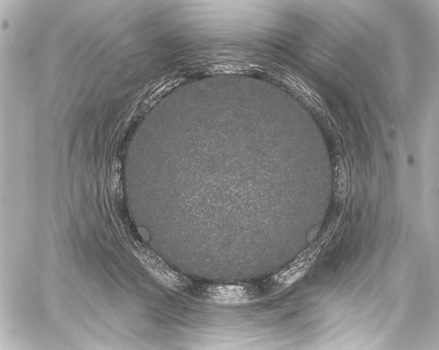 X0000059100361200510101224