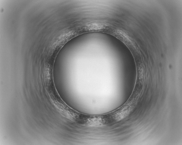 X0000059100362200510101224