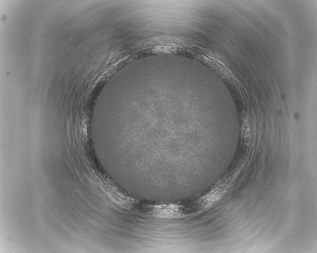 X0000059100363200510101224