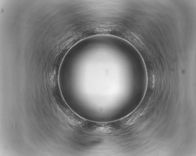 X0000059100364200510101224