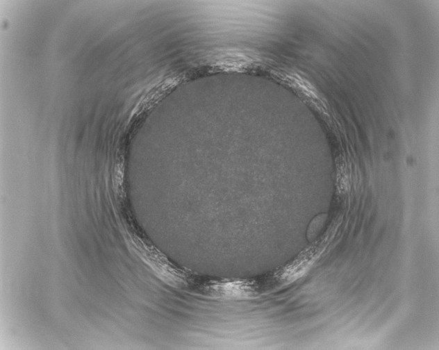 X0000059100365200510101224