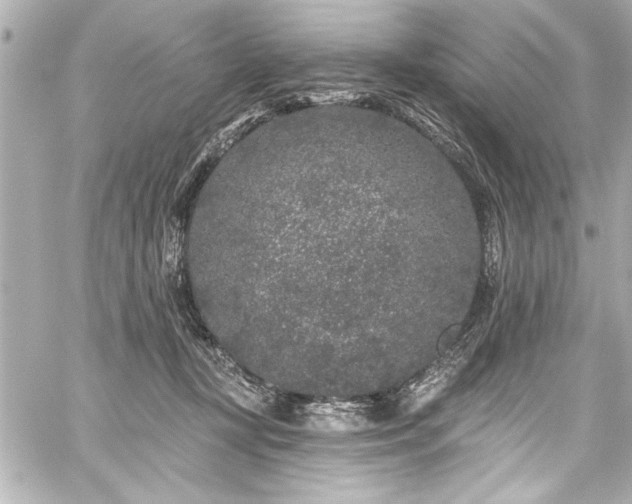 X0000059100367200510101224