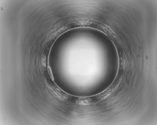 X0000059100368200510101224