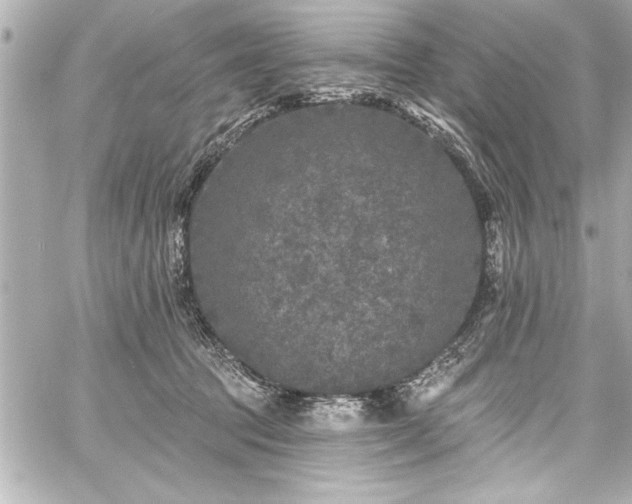 X0000059100369200510101224