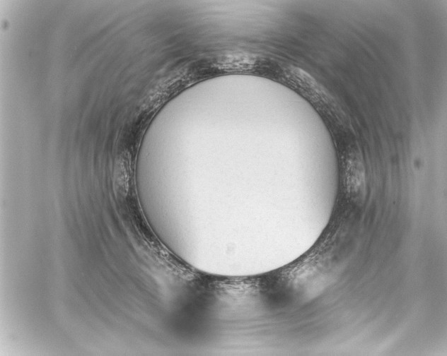 X0000059100370200510101224