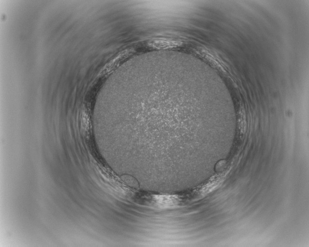 X0000059100371200510101224