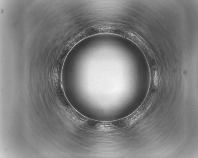 X0000059100372200510101224