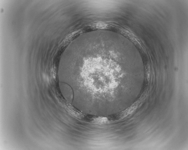 X0000059100374200510101224