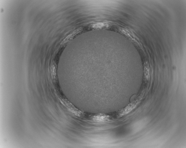 X0000059100375200510101224