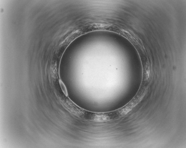 X0000059100376200510101224