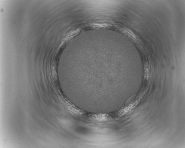 X0000059100377200510101225