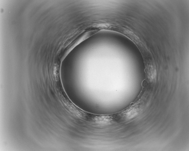 X0000059100378200510101225