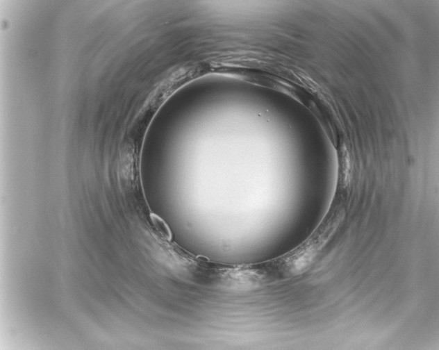 X0000059100379200510101225