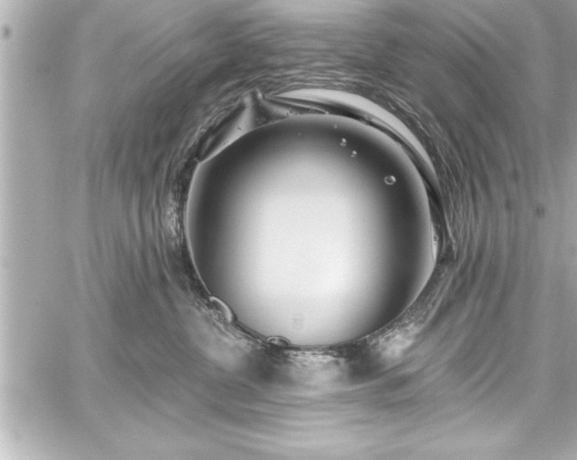 X0000059100380200510101225