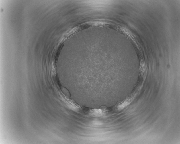 X0000059100381200510101225