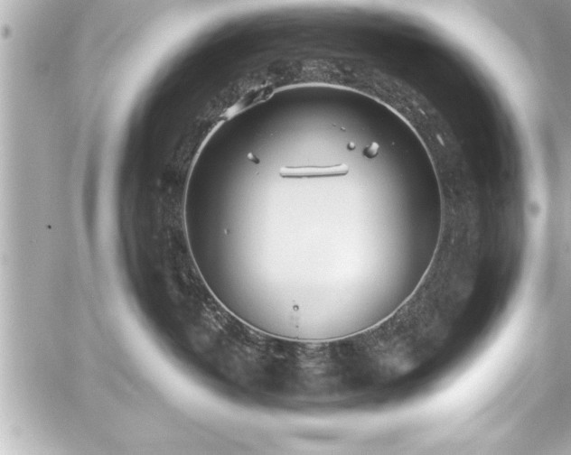 X0000059100382200510101225