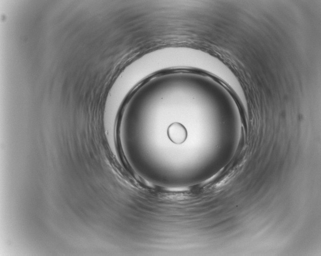 X0000059100383200510101225