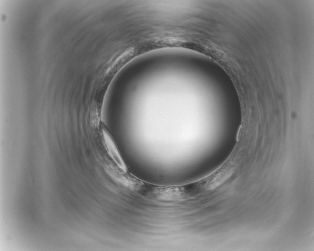 X0000059100384200510101225