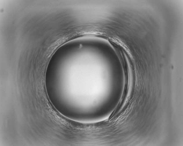 X0000059100385200510101224