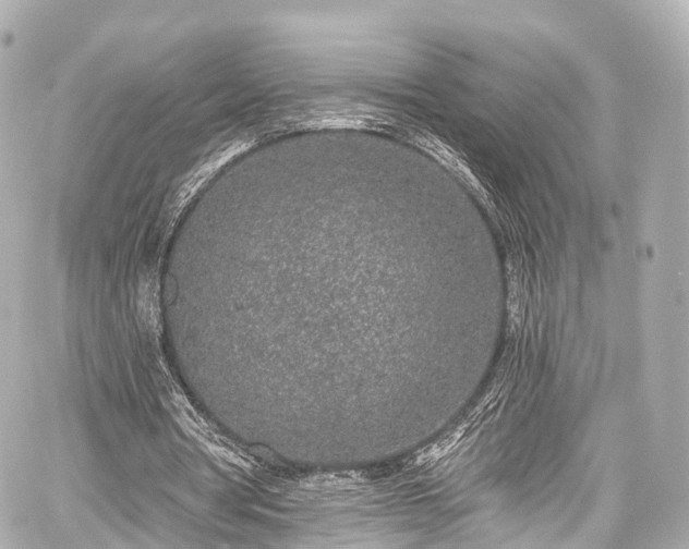 X0000059100386200510101224