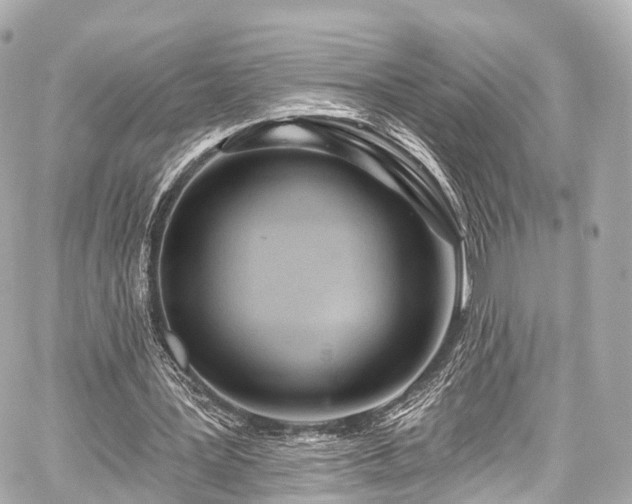 X0000059100387200510101224