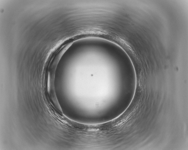 X0000059100388200510101224