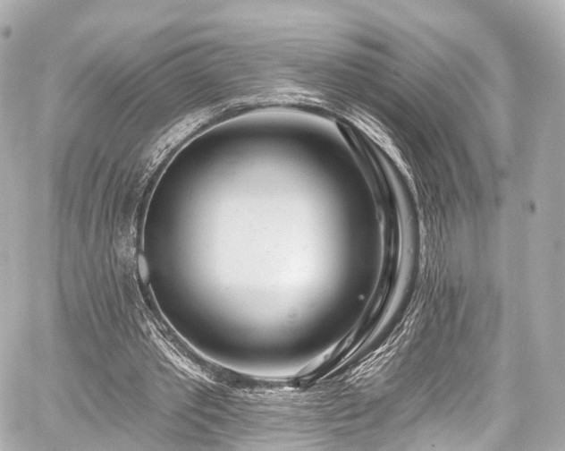 X0000059100389200510101224