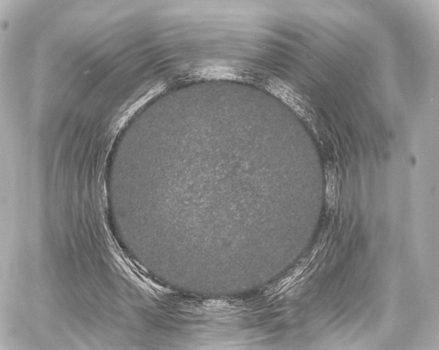 X0000059100390200510101224