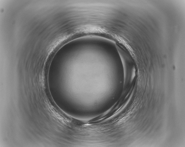 X0000059100391200510101224