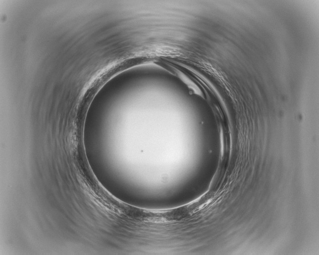 X0000059100392200510101224