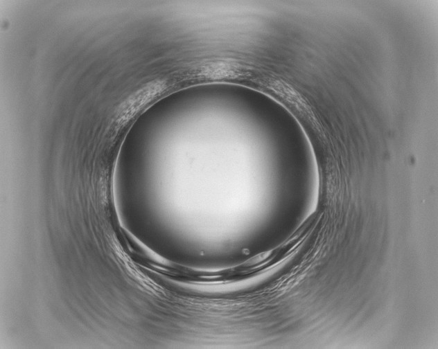 X0000059100393200510101224