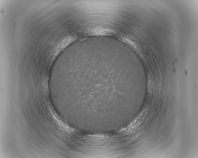 X0000059100394200510101224