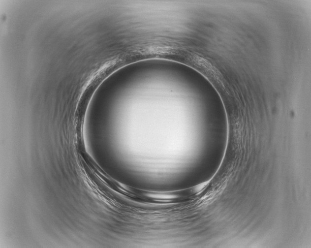 X0000059100395200510101224