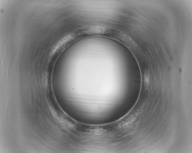 X0000059100396200510101224