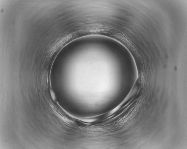 X0000059100397200510101224