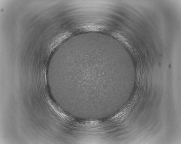 X0000059100398200510101224