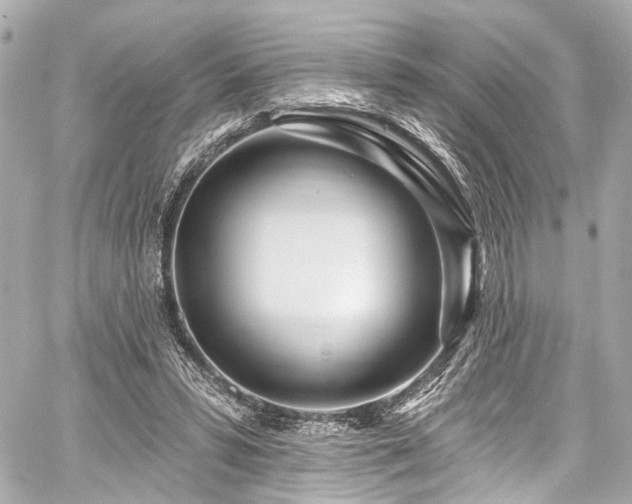 X0000059100399200510101224